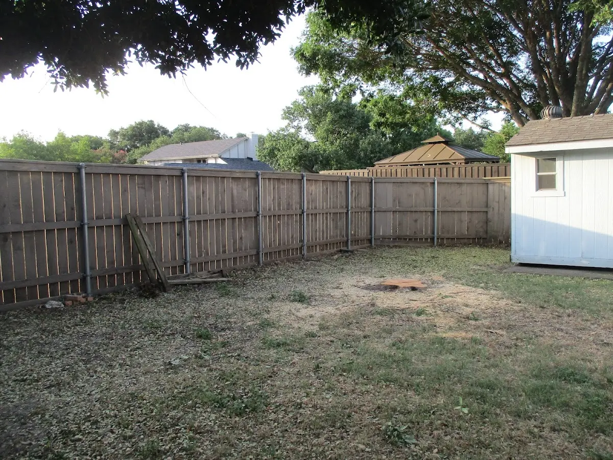 Cleared yard after professional tree removal in Tenino